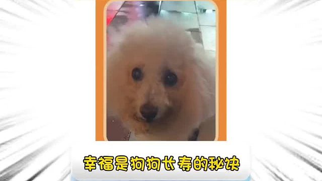 第一百二十五集_果然幸福永远是长寿的秘籍