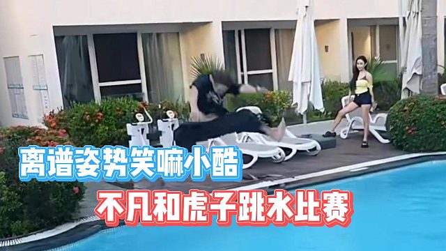 不凡和虎子跳水比赛，离谱姿势笑嘛小酷