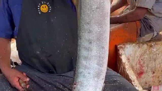 你知道这是什么鱼吗？ 大胡子哥是如何快速切鱼的？