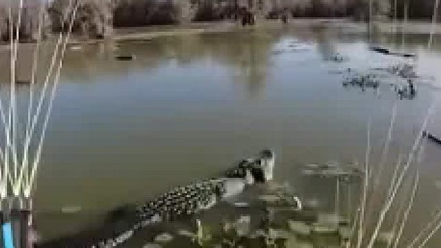 不知道这哥们还好吗？