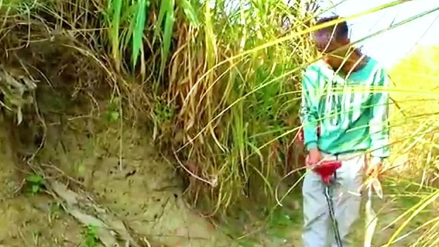 泥土下的传奇：寻宝人一铲挖出绝世黄金马，紫蟾蜍玉石更是震惊全