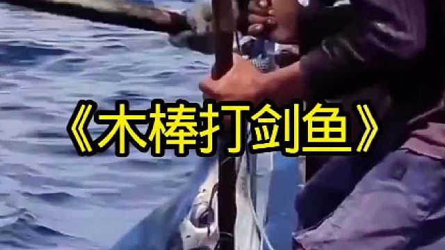 木棒打袭击渔民的剑鱼
