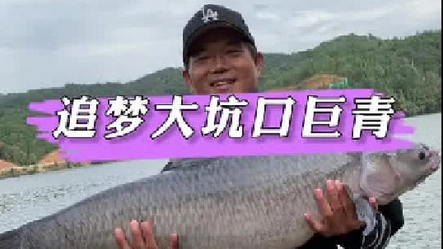 追梦大坑口水库60 巨青