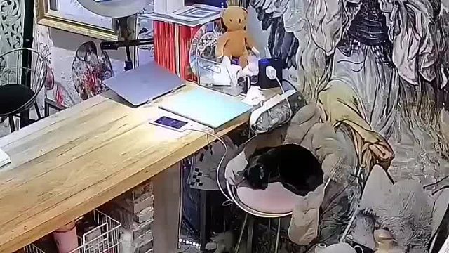 有撩人的夏末，有迷离的惬意