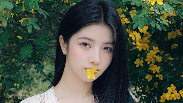 “故事的小黄花，从出生那年就飘着”