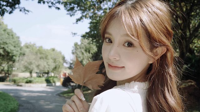 dazz替我省下了一部理光相机…