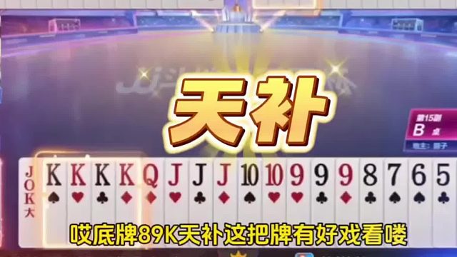 就看地主怎么开牌喽