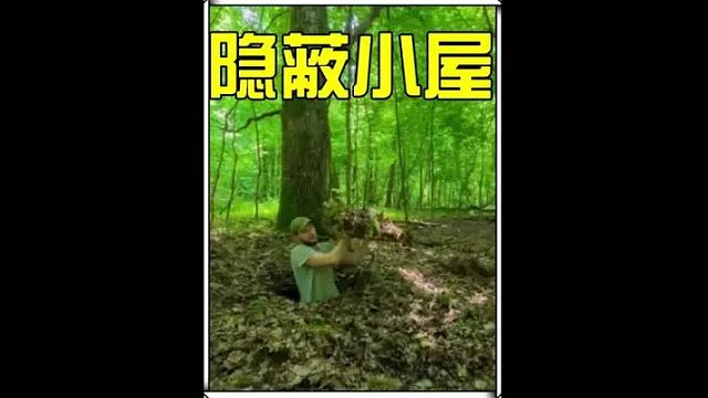 绝对是野外生存的最佳居所  (3)