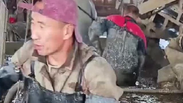 花甲都这么脏吗？