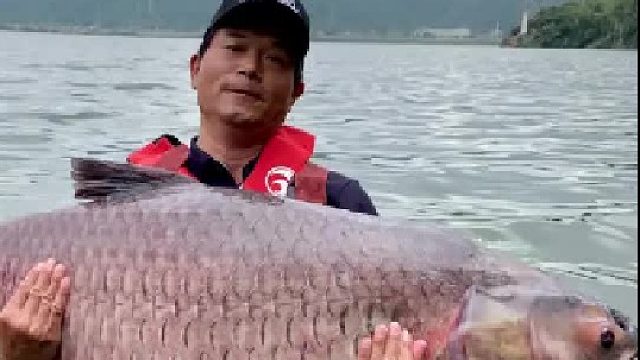 惊喜来的太突然，再次中获100 巨青，双百 就这么达成了。