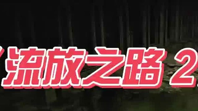 流放之路2新手用什么加速器好，好用的加速器推荐