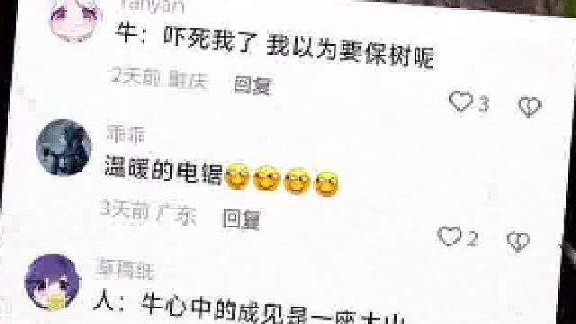 盘点人类的搞笑视频！