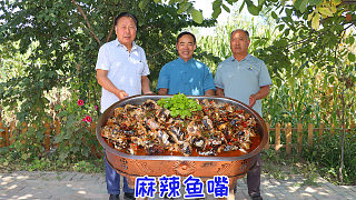 都說魚嘴才是魚最好吃的部位，食叔做一鍋爆辣魚嘴，哥幾個吃香了