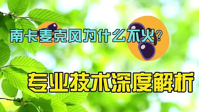南卡麦克风为什么不火？专业技术深度解析