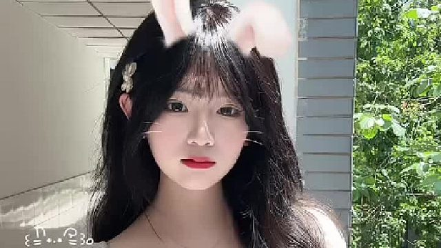 末班公交的玻璃窗，映着乘客模糊的梦