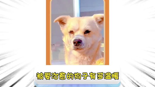 第一百零七集_自己淋过雨，却想为别人撑伞