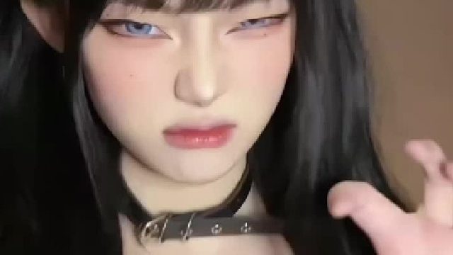 猫耳黑裙少女，冷艳感直接锁死