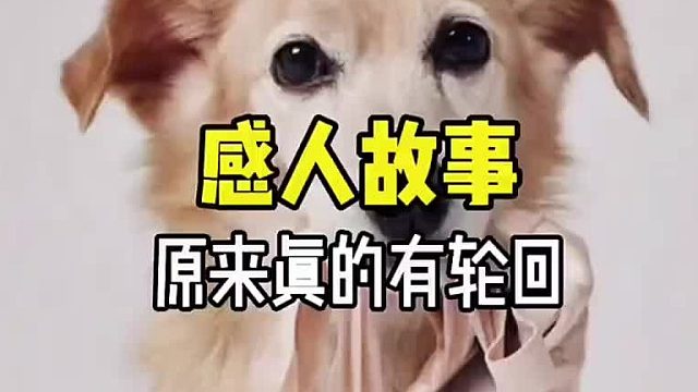 原来真的有轮回