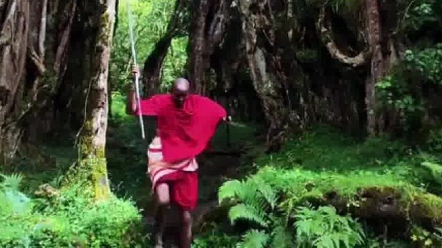 走进亚马逊热带雨林，探寻曾被世人遗忘的角落