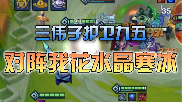 三伟子护卫九五对阵我花水晶寒冰