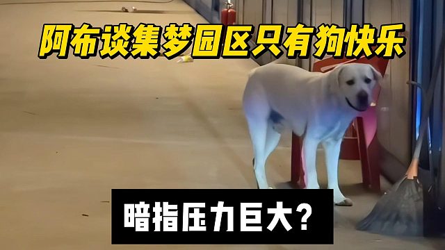 阿布谈集梦园区只有狗快乐，暗指压力巨大？