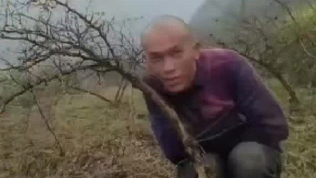 带你们感受一下两年的时光流逝