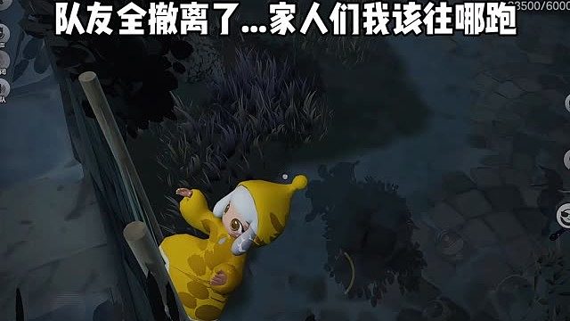 家人们，我该怎么办？