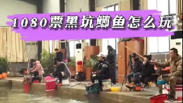 春棠花园黑坑1080票飞磕鲫鱼。