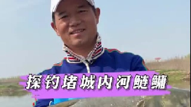 河探钓巨鲢。