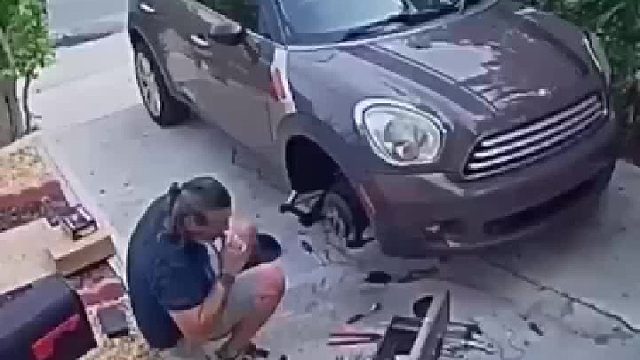 国外一只调皮的鸟引发的误会