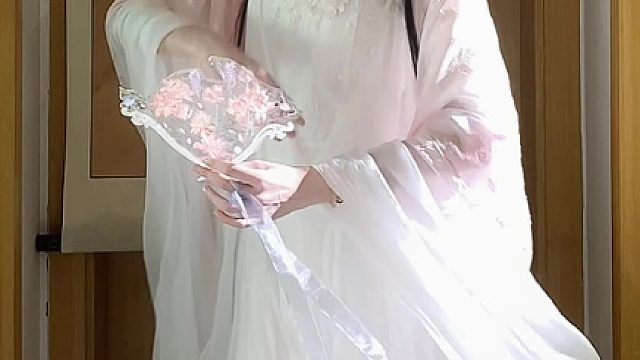 “忽见粉蝶潜入窗”