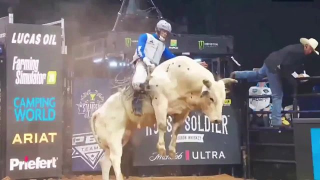 牛人才敢挑战的比赛，只要能够硬控牛哥8秒钟，就能赢得百万奖金