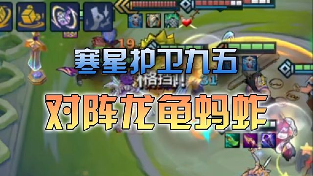 寒星护卫九五对阵龙龟蚂蚱