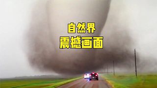 爆款直擊：自然界的震撼瞬間