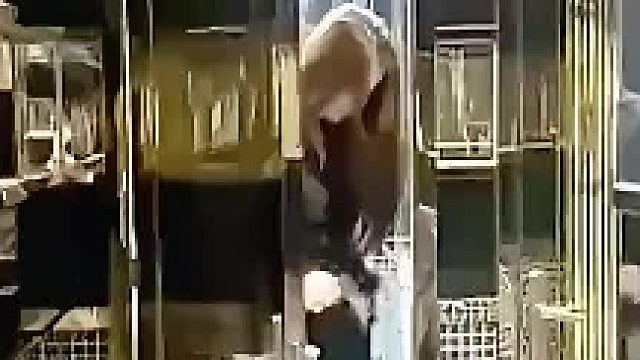 美女上厕所出来后，注意手里的动作，一看就知道经历了什么！