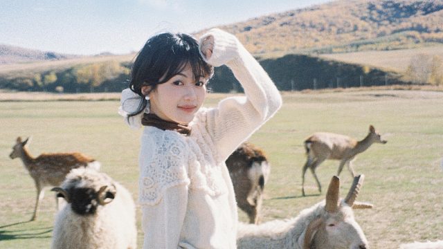 和小动物们在一起的时光平静 美好 幸福