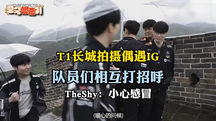 Used Nissan Silvia for sale(164 Results) visual data 7