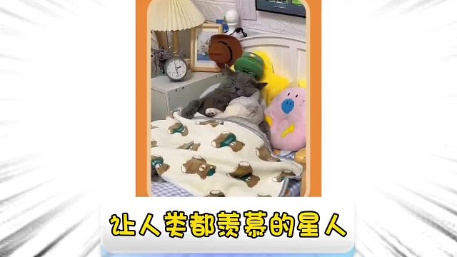 第九十二集_活的还不如一只猫