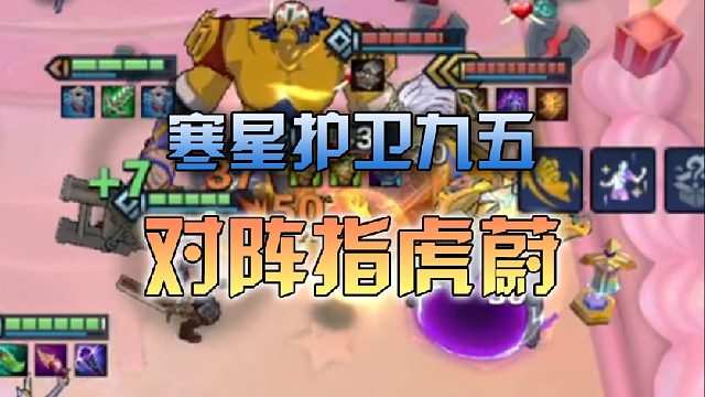 寒星护卫九五对阵指虎蔚