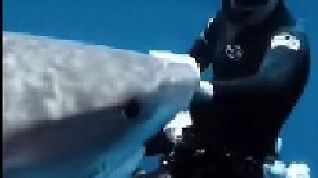 老子与海就这剧情简直比拍电影还刺激啊