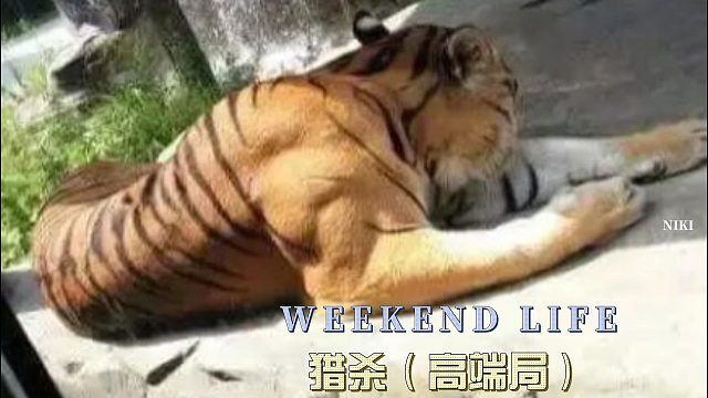 猎杀（高端局）