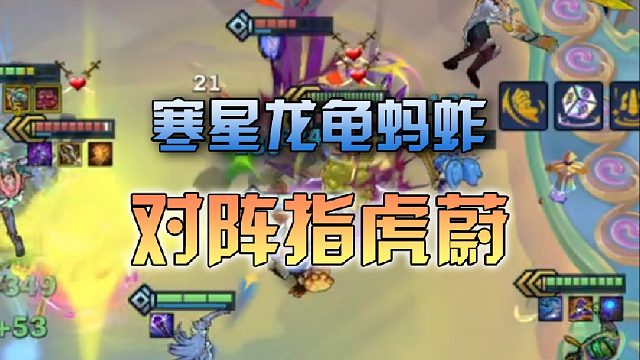 寒星龙龟蚂蚱对阵指虎蔚