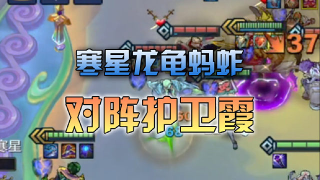 寒星龙龟蚂蚱对阵护卫霞