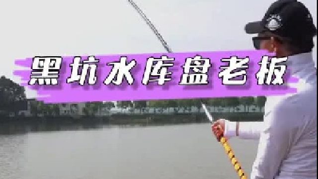 宁波黑坑水库盘老板