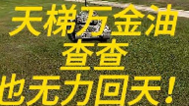 天梯万金油查查也无力回天！