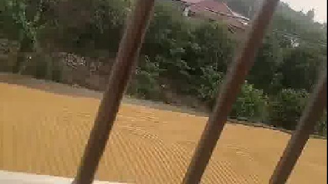 完了，稻谷要长牙了