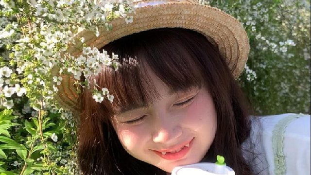 抹茶绿意的春夏