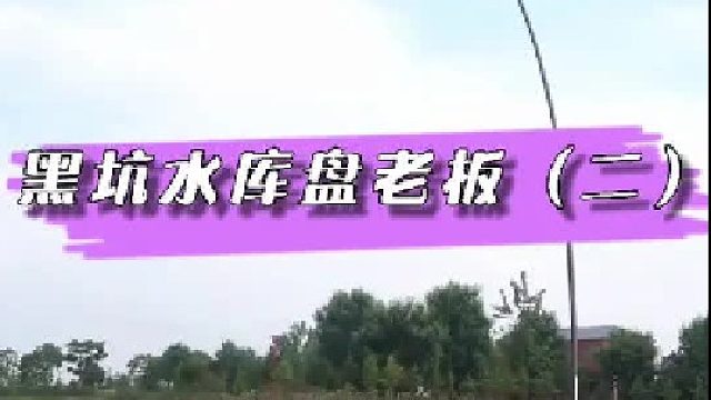 黑坑水库盘老板，你们给看看最后的渔获