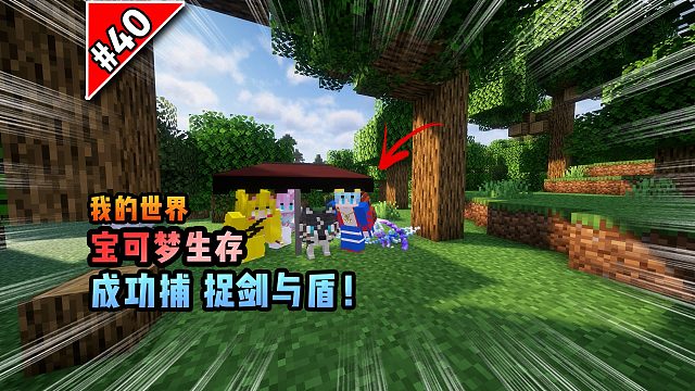 宝可梦第40集：成功捕捉剑与盾！