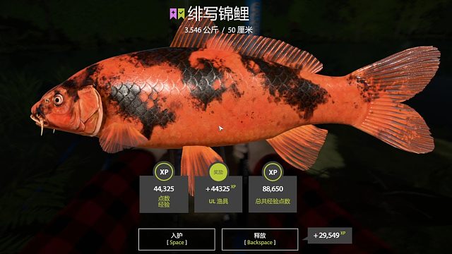 俄罗斯钓鱼4当前历史第一水塘世界超轻绯写锦鲤